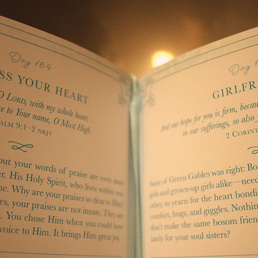 Christian Book Bundle - Picture 4 of 5